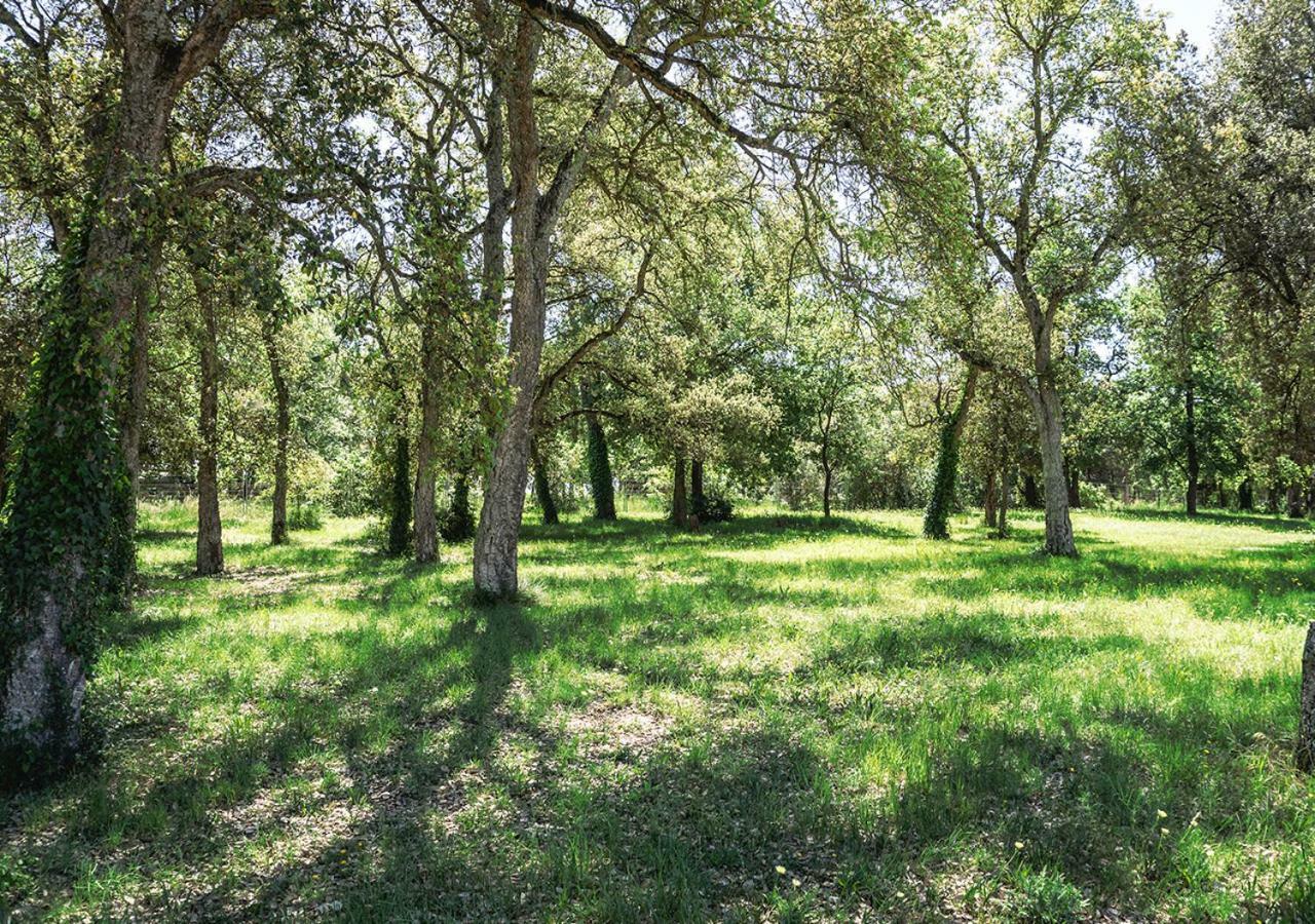 Masia Can Sola Gros Кальдас-де-Малавелья Экстерьер фото
